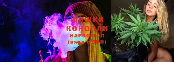 прущие грибы Богородск