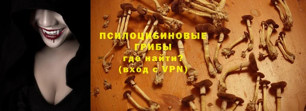 MDMA Premium VHQ Богородицк