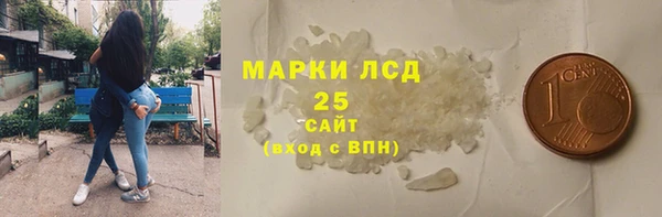 прущие грибы Богородск