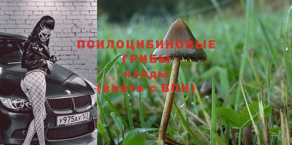 MDMA Premium VHQ Богородицк