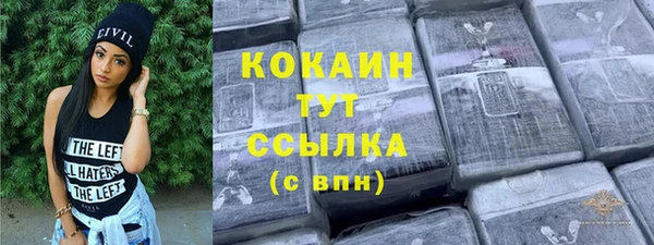 прущие грибы Богородск