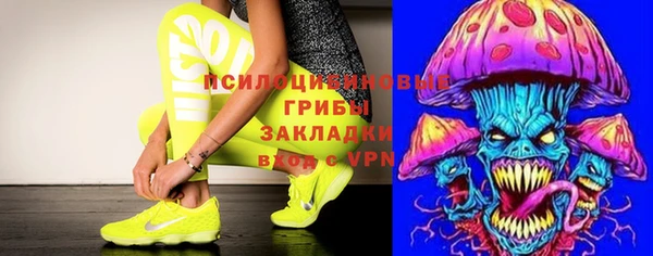 мяу мяу кристалл Богданович